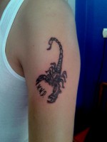 /album/resim-galerisi/a2013-03-04-12-37-17-jpg/